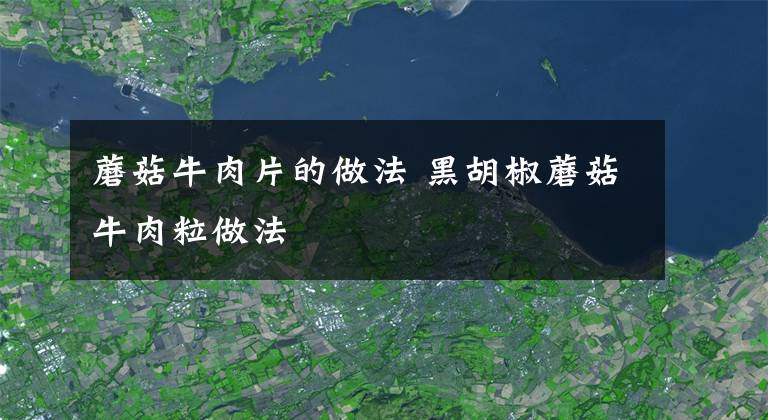 蘑菇牛肉片的做法 黑胡椒蘑菇牛肉粒做法