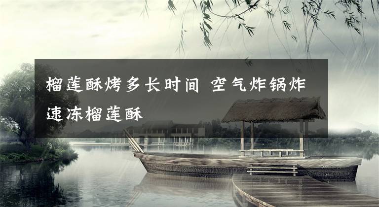 榴莲酥烤多长时间 空气炸锅炸速冻榴莲酥