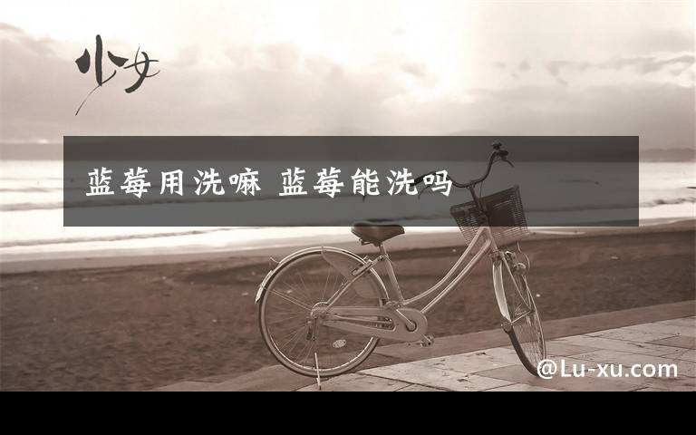 蓝莓用洗嘛 蓝莓能洗吗