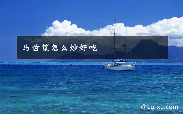 马齿笕怎么炒好吃