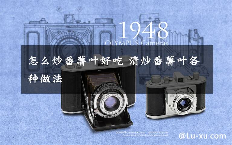 怎么炒番薯叶好吃 清炒番薯叶各种做法