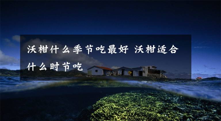 沃柑什么季节吃最好 沃柑适合什么时节吃