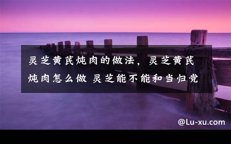 灵芝黄芪炖肉的做法，灵芝黄芪炖肉怎么做 灵芝能不能和当归党参一起煮着喝