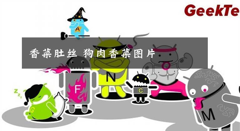 香菜肚丝 狗肉香菜图片