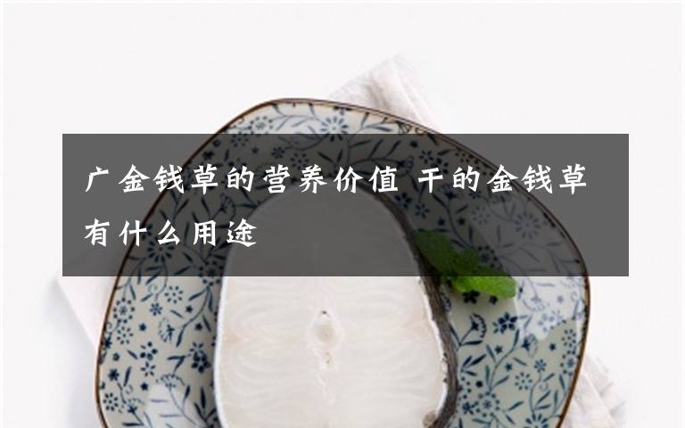 广金钱草的营养价值 干的金钱草有什么用途