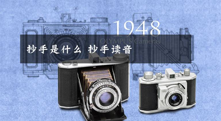 抄手是什么 抄手读音