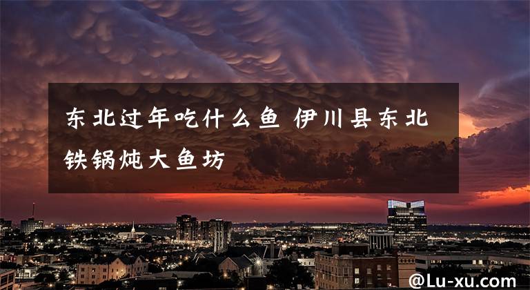 东北过年吃什么鱼 伊川县东北铁锅炖大鱼坊