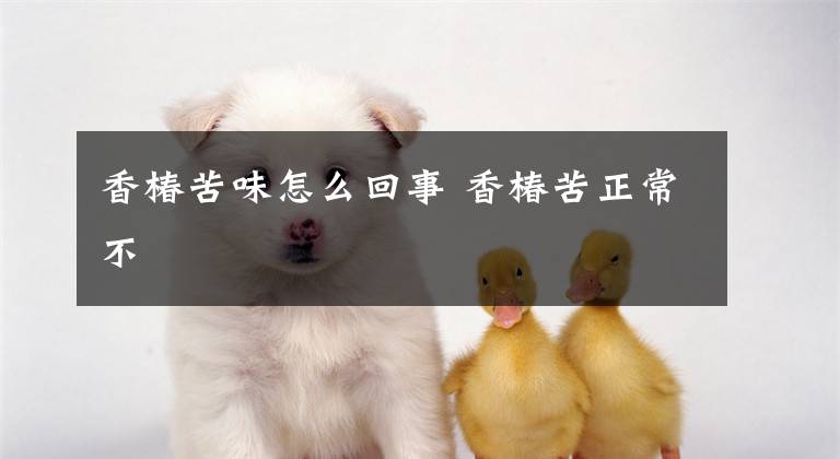 香椿苦味怎么回事 香椿苦正常不