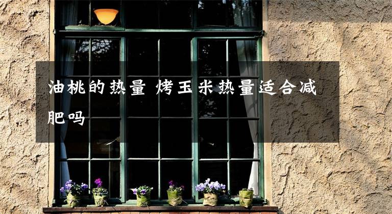 油桃的热量 烤玉米热量适合减肥吗