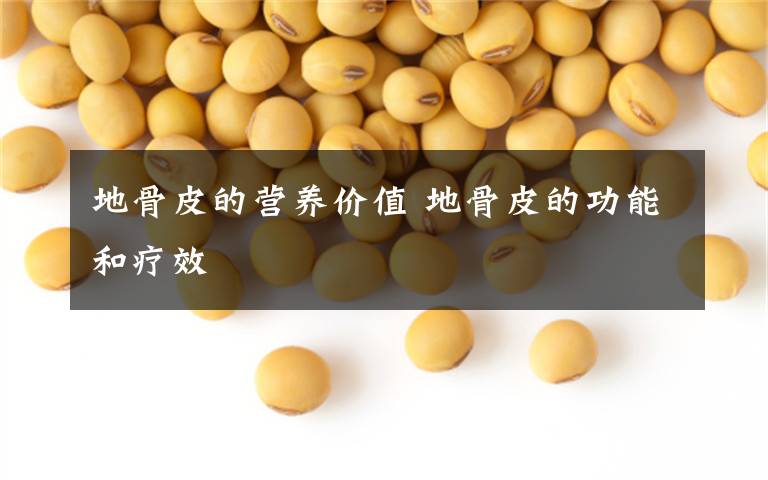 地骨皮的营养价值 地骨皮的功能和疗效