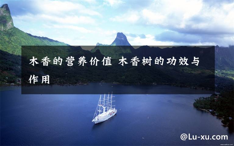 木香的营养价值 木香树的功效与作用