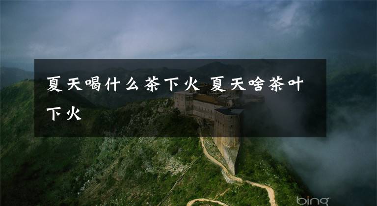 夏天喝什么茶下火 夏天啥茶叶下火