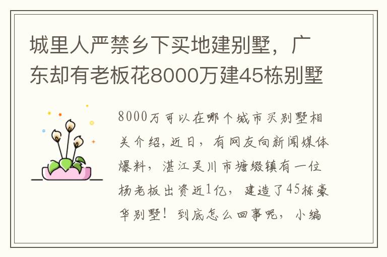 城里人严禁乡下买地建别墅，广东却有老板花8000万建45栋别墅