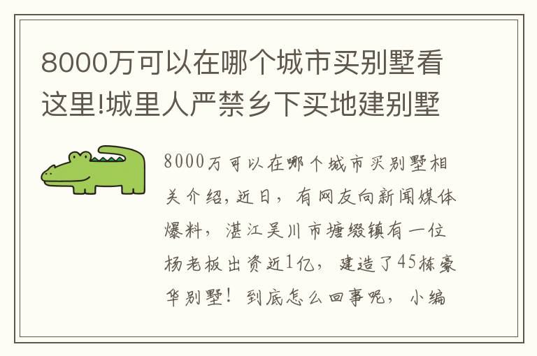 8000万可以在哪个城市买别墅看这里!城里人严禁乡下买地建别墅,广东却有老板花8000万建45栋别墅