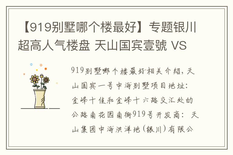 【919别墅哪个楼最好】专题银川超高人气楼盘 天山国宾壹號 VS 中海央墅