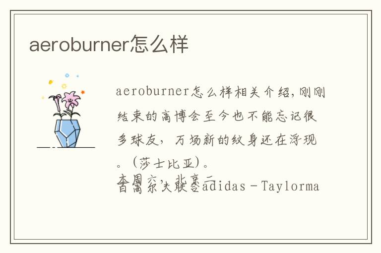 aeroburner怎么样