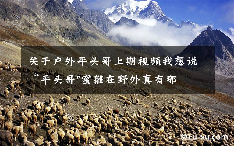 关于户外平头哥上期视频我想说“平头哥"蜜獾在野外真有那么强吗？真相在这里-户外动物知识