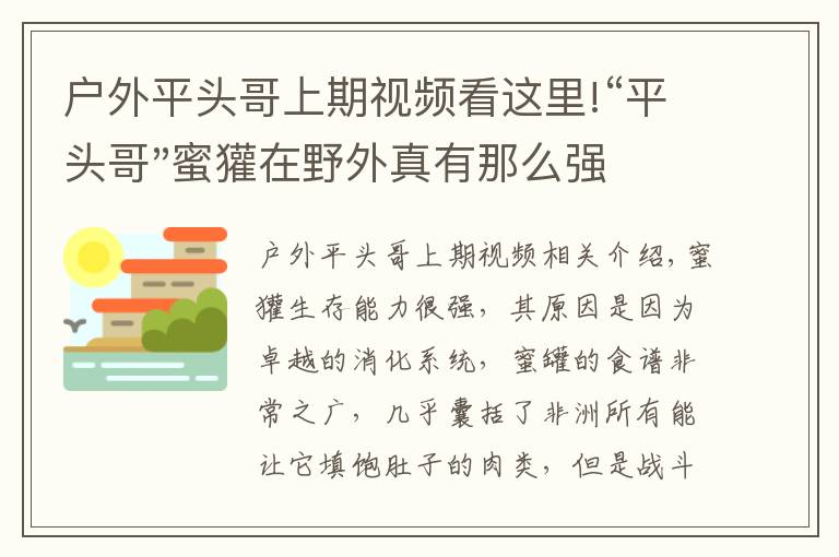 户外平头哥上期视频看这里!“平头哥"蜜獾在野外真有那么强吗?真相在这里-户外动物知识