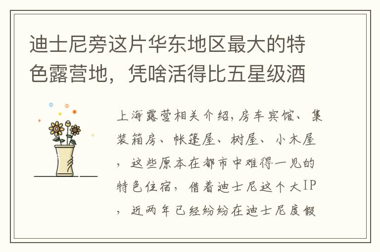 迪士尼旁这片华东地区最大的特色露营地，凭啥活得比五星级酒店还好