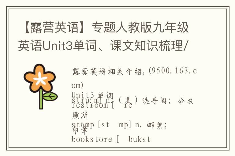 【露营英语】专题人教版九年级英语Unit3单词、课文知识梳理/词汇句式精讲