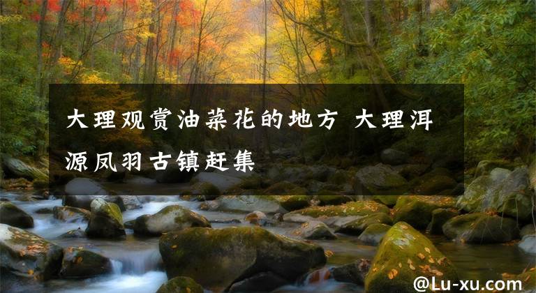 大理观赏油菜花的地方 大理洱源凤羽古镇赶集