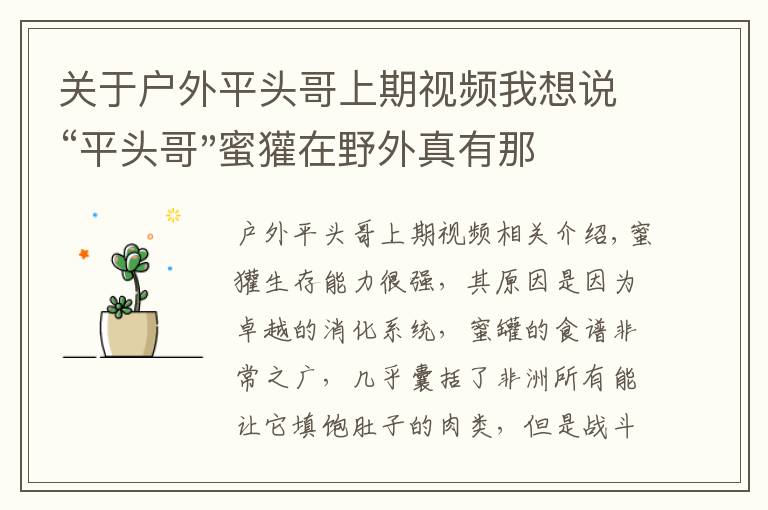 关于户外平头哥上期视频我想说“平头哥"蜜獾在野外真有那么强吗?真相在这里-户外动物知识