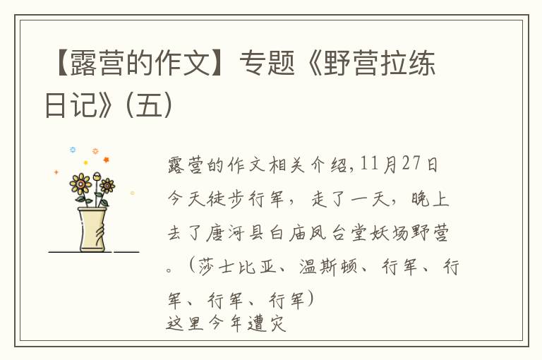 【露营的作文】专题《野营拉练日记》(五)