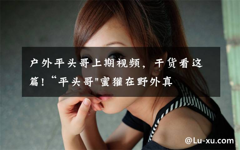 户外平头哥上期视频,干货看这篇!“平头哥"蜜獾在野外真有那么强吗?真相在这里-户外动物知识