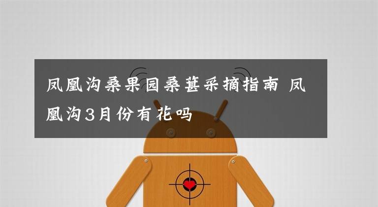 凤凰沟桑果园桑葚采摘指南 凤凰沟3月份有花吗