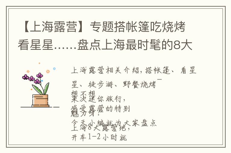 【上海露营】专题搭帐篷吃烧烤看星星……盘点上海最时髦的8大露营地,玩出周末新花样