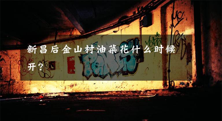 新昌后金山村油菜花什么时候开?