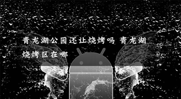 青龙湖公园还让烧烤吗 青龙湖烧烤区在哪