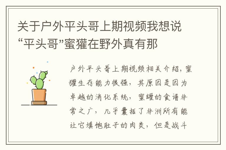 关于户外平头哥上期视频我想说“平头哥"蜜獾在野外真有那么强吗?真相在这里-户外动物知识