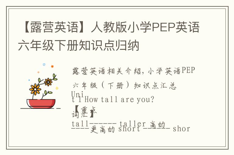 【露营英语】人教版小学PEP英语六年级下册知识点归纳