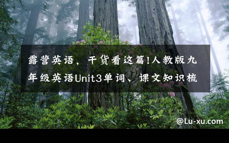 露营英语,干货看这篇!人教版九年级英语Unit3单词、课文知识梳理/词汇句式精讲