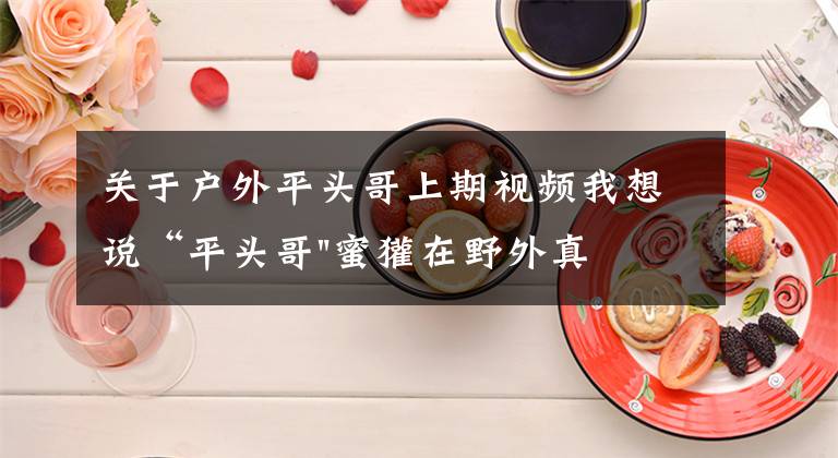 关于户外平头哥上期视频我想说“平头哥"蜜獾在野外真有那么强吗?真相在这里-户外动物知识