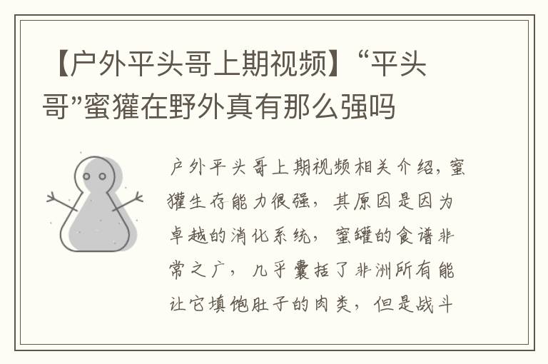 【户外平头哥上期视频】“平头哥"蜜獾在野外真有那么强吗?真相在这里-户外动物知识