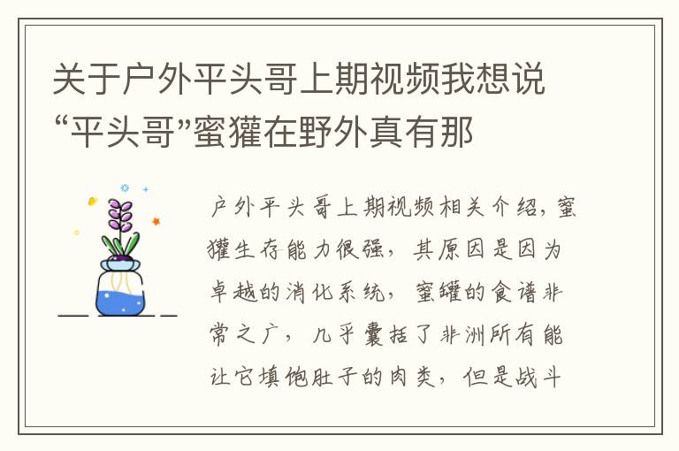 关于户外平头哥上期视频我想说“平头哥"蜜獾在野外真有那么强吗?真相在这里-户外动物知识