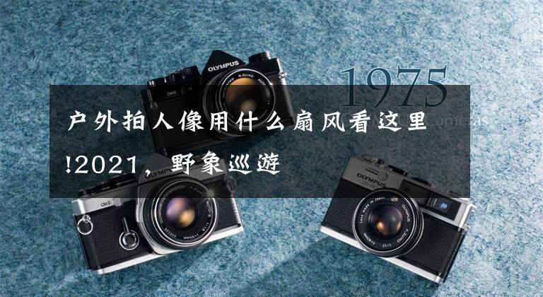 户外拍人像用什么扇风看这里!2021，野象巡游