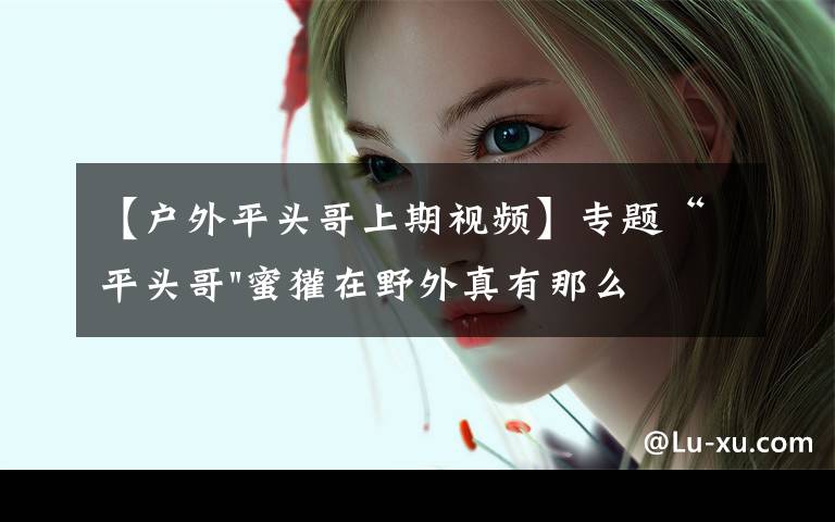 【户外平头哥上期视频】专题“平头哥"蜜獾在野外真有那么强吗?真相在这里-户外动物知识