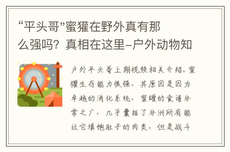 “平头哥"蜜獾在野外真有那么强吗?真相在这里-户外动物知识