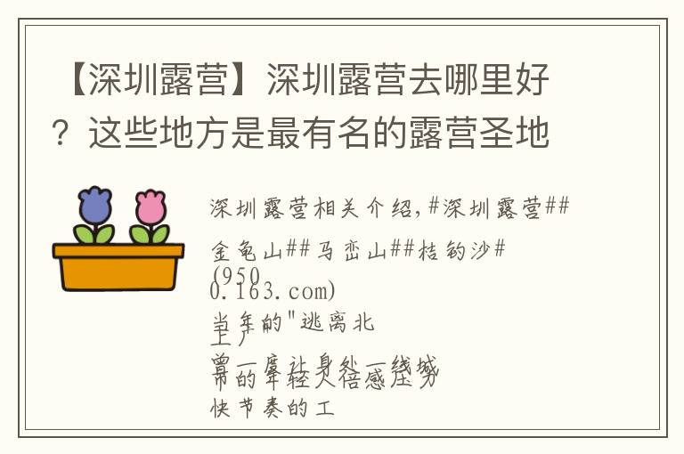 【深圳露营】深圳露营去哪里好?这些地方是最有名的露营圣地