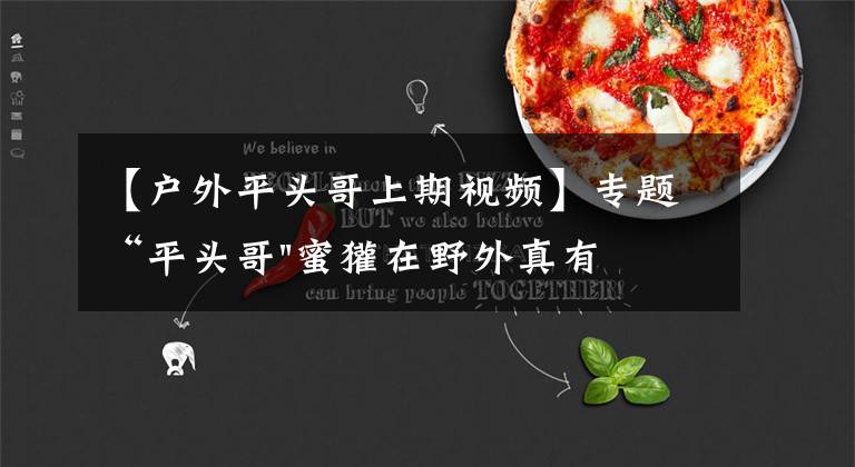 【户外平头哥上期视频】专题“平头哥"蜜獾在野外真有那么强吗?真相在这里-户外动物知识