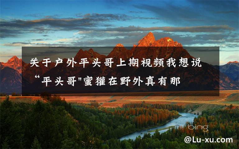 关于户外平头哥上期视频我想说“平头哥"蜜獾在野外真有那么强吗?真相在这里-户外动物知识