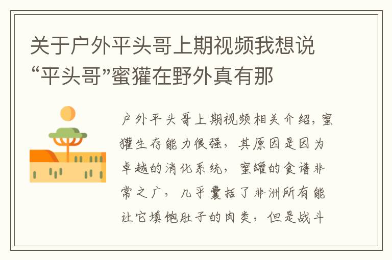 关于户外平头哥上期视频我想说“平头哥"蜜獾在野外真有那么强吗?真相在这里-户外动物知识