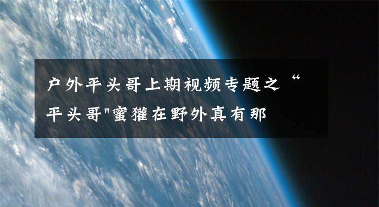 户外平头哥上期视频专题之“平头哥"蜜獾在野外真有那么强吗?真相在这里-户外动物知识