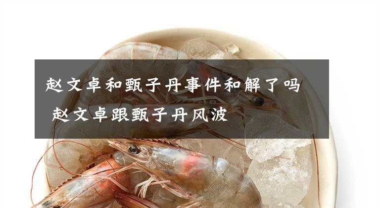 赵文卓和甄子丹事件和解了吗 赵文卓跟甄子丹风波