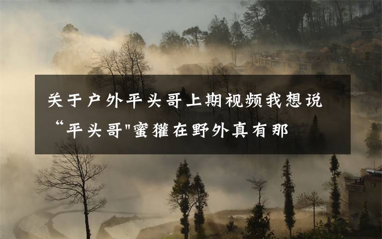 关于户外平头哥上期视频我想说“平头哥"蜜獾在野外真有那么强吗?真相在这里-户外动物知识