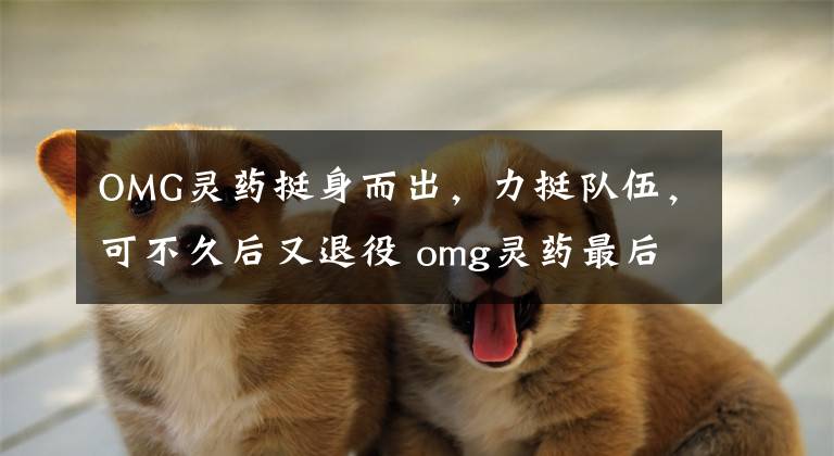 OMG灵药挺身而出,力挺队伍,可不久后又退役 omg灵药最后比赛