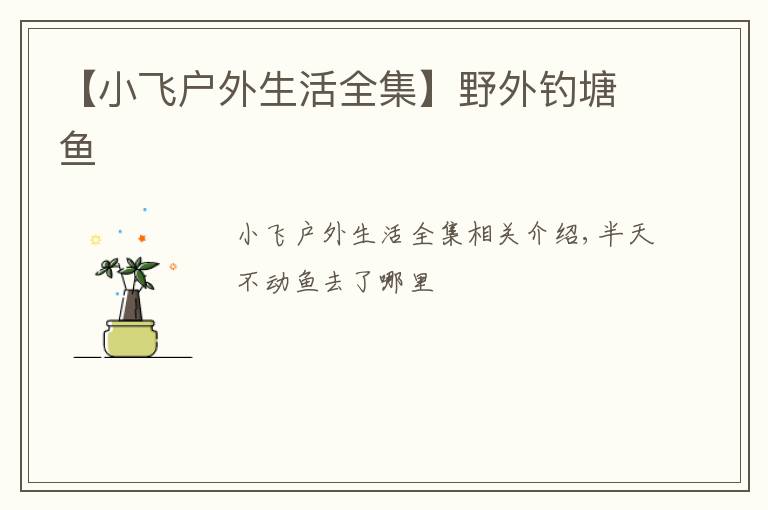 【小飞户外生活全集】野外钓塘鱼